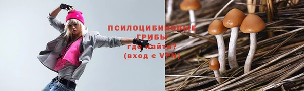 каннабис Белокуриха