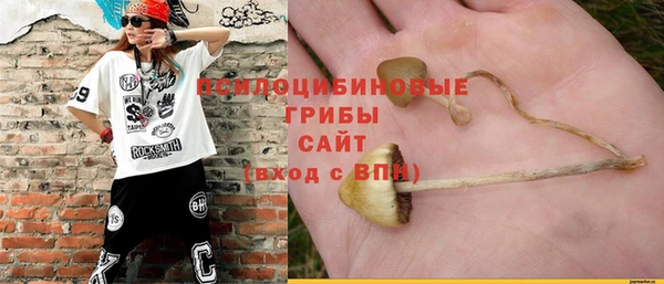 мдпв Беломорск