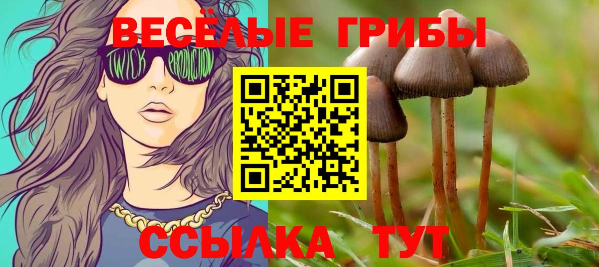 Галлюциногенные грибы Cubensis  Вход с VPN  Галлюциногенные грибы Psilocybine cubensis  Сегежа 